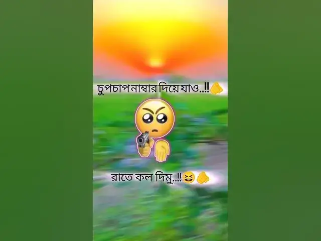 'Video thumbnail for May 1, 2025'