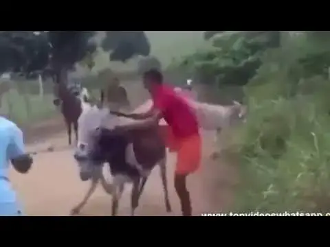 'Video thumbnail for Jumentinho tarado'