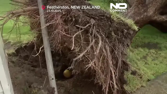 'Video thumbnail for Severe winds batter New Zealand for second time in a week'