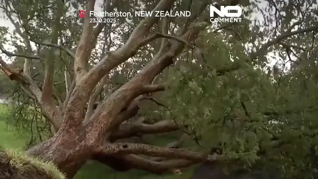 'Video thumbnail for Severe winds batter New Zealand for second time in a week'