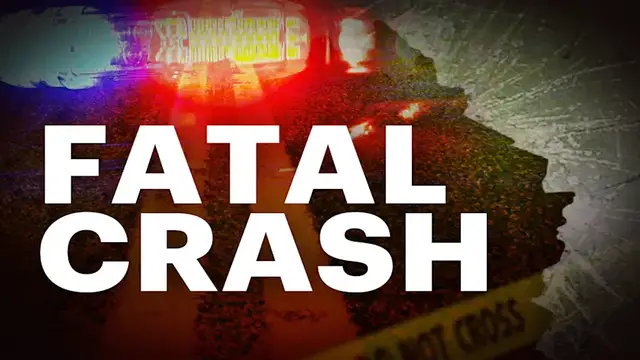 Video thumbnail for Pedestrian fatally struck on Robert Moses Causeway