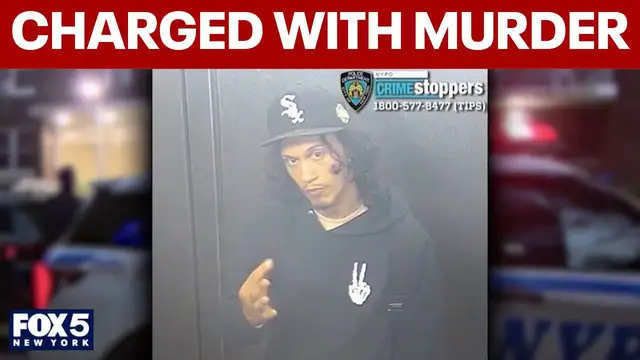 Video thumbnail for Bronx man charged after woman, baby pushed off 15th-floor balcony, NYPD says