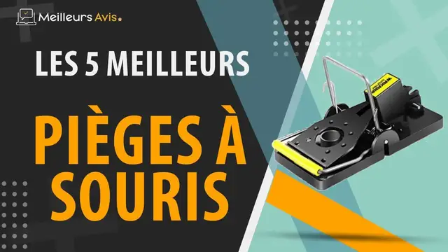 Video thumbnail for ⭐️ MEILLEUR PIEGE A SOURIS - Avis & Guide d'achat (Comparatif 2023)
