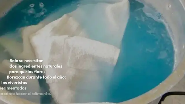 'Video thumbnail for Untitled_video (23)'