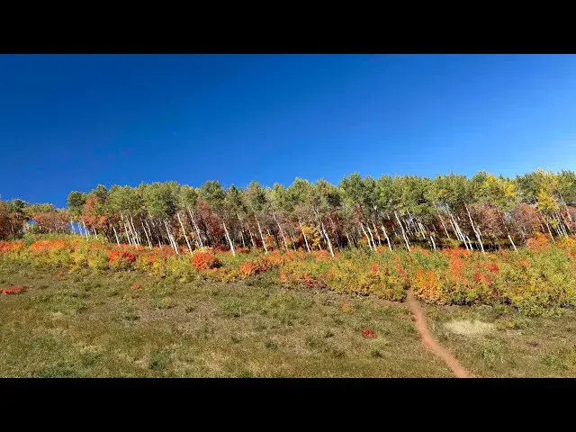 Video thumbnail for A Glorious Fall Colors Run above Park City for RTR Editor Sam.