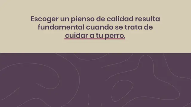 Video thumbnail for Los 10 mejores piensos sin cereales para tu perro