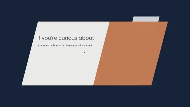 Video thumbnail for Embark DNA Test: We Tried It, Here’s Our Review!