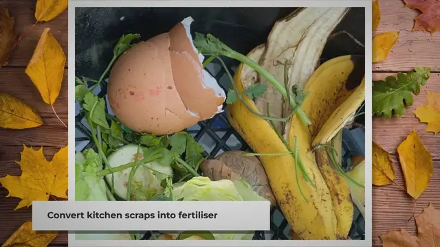 'Video thumbnail for Video 41: Make Your Own Soil Conditioner'