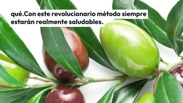 Video thumbnail for Las plantas de tu casa o jardín siempre se mantendrán sanas si las riegas con esta agua
