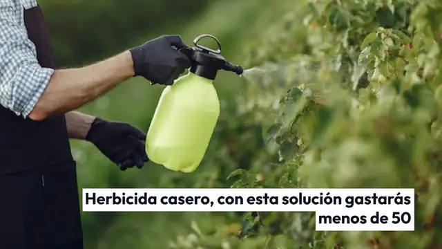 Video thumbnail for Herbicida casero por menos de 50 céntimos, lo preparas con 3 ingredientes
