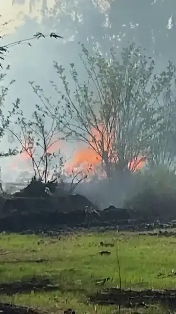 Video thumbnail for Deadly blaze at fireworks facility in India