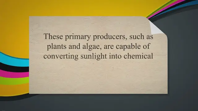 Video thumbnail for From the Ground Up: Unveiling the Vital Role of Producers in the Energy Pyramid