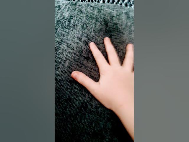 Video thumbnail for 21 August 2024