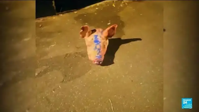 'Video thumbnail for Serbia arrests 11 accused of stirring Jewish-Muslim hate in France, Germany'