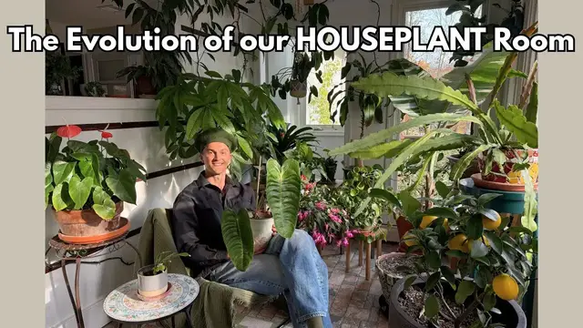 Video thumbnail for HOUSEPLANT Room Tour & Its Evolution Over the Years