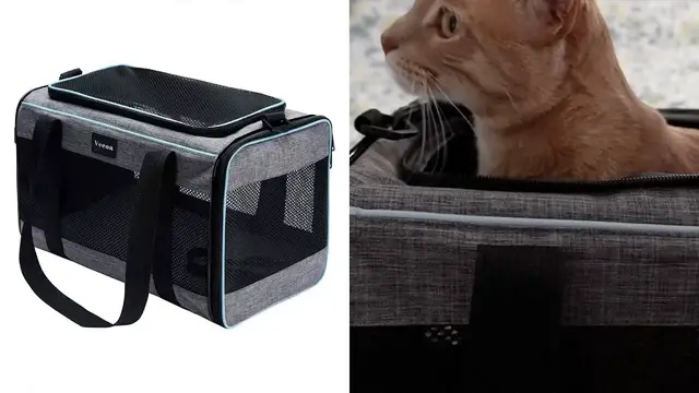 Video thumbnail for First Look At This VCEOA Cat Carrier Review