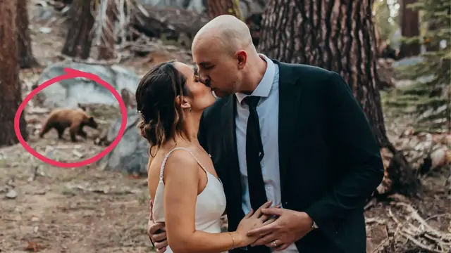 Video thumbnail for Wild Bear Sneaks Into Couple's Wedding Photos