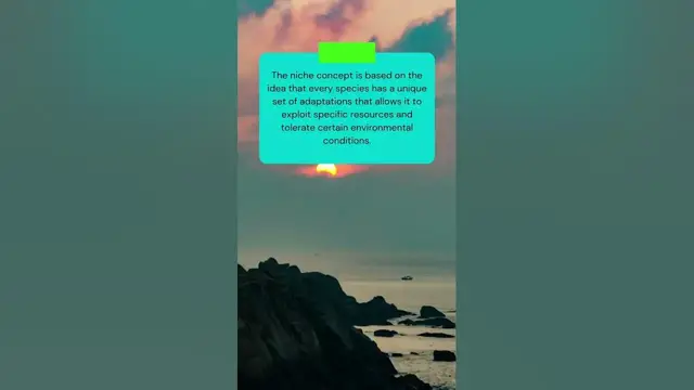 Video thumbnail for Few things you should know about Niche in Ecology #shorts