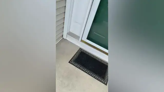 Video thumbnail for Great Grandmother Meets Premature Great Grandson On Birthday After NICU | Happily TV