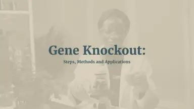 'Video thumbnail for Gene Knockout Decoded- Definition, Steps, Methods and Applications '