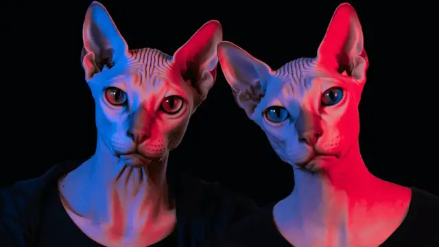 Video thumbnail for Higgsfield Popcorn Tutorial - Create Cinematic Stories with One Click