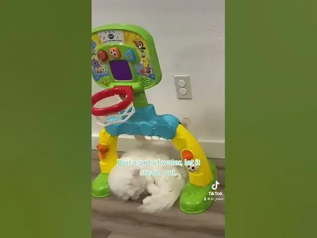 Video thumbnail for home remedies for cat cold