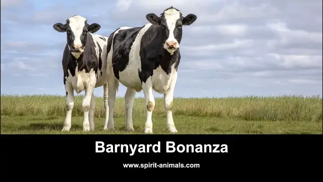 Video thumbnail for Barnyard Bonanza