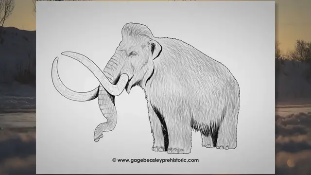 'Video thumbnail for An Ultimate Guide to the Woolly Mammoth: The Tusked Titan'