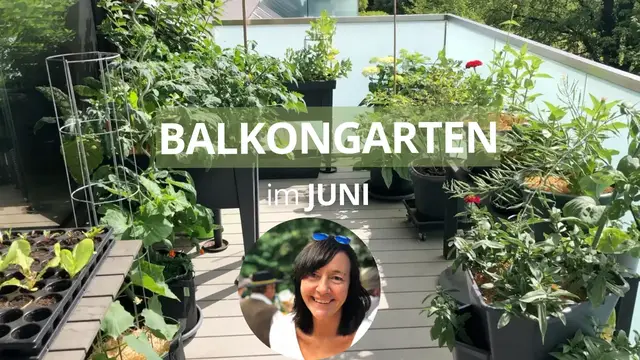 'Video thumbnail for Balkongarten Juni 2023: Balkongarten Tour'