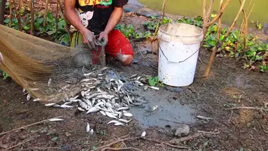 'Video thumbnail for Fish a lot man catch it'