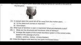 Video thumbnail for 10th Science First Revision 2019 - Question Paper (Tirunelveli District) | (English Medium)