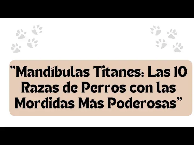 Video thumbnail for "Mandíbulas Titanes: Las 10 Razas de Perros con las Mordidas Más Poderosas"