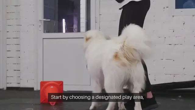 Video thumbnail for Securing Pet Play Areas