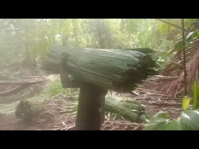 Video thumbnail for Tahap 2