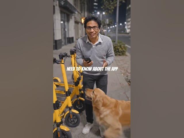 Video thumbnail for The Dog Steals my Phone #adayinthelifeinasia #exploreanddiscover