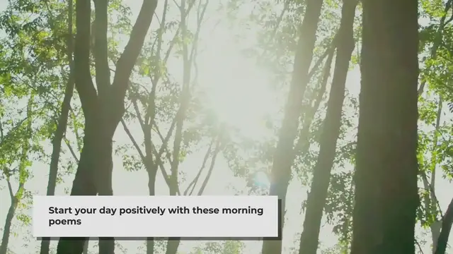 Video thumbnail for A Good Morning Poem to Brighten Your Day
