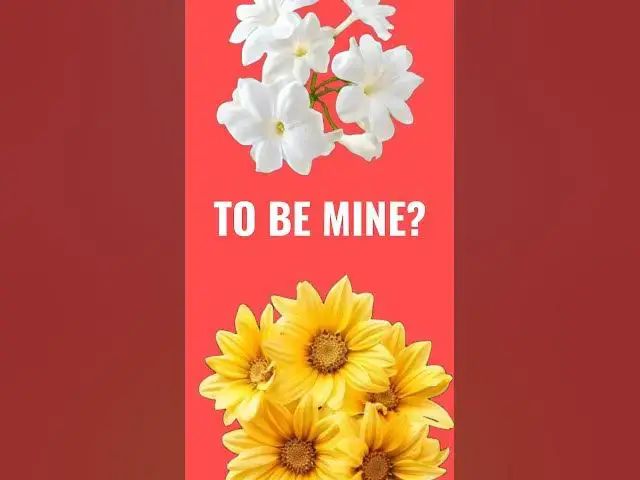 Video thumbnail for How ezoix.com become no 1 tech review website