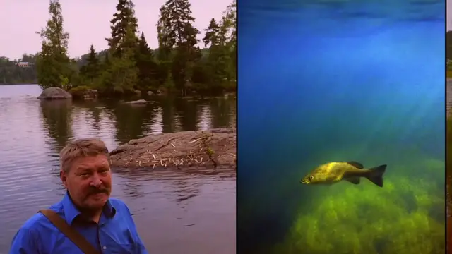 Video thumbnail for algis MFF Trailer # 4.mov