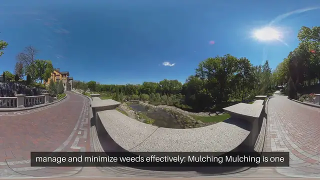 Video thumbnail for Cottage Garden Weeding Strategies