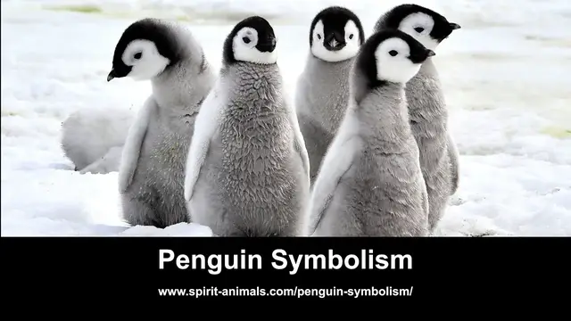Video thumbnail for Penguin Symbolism