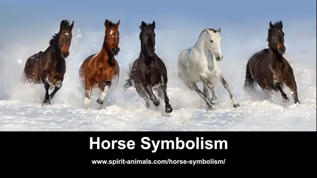 Video thumbnail for Horse Symbolism