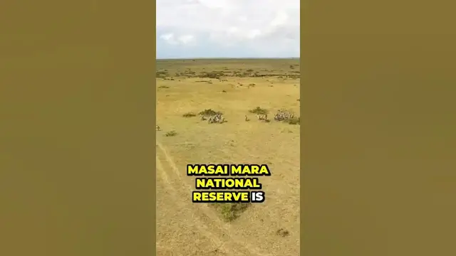 Video thumbnail for Uncovering the World s Largest Animal Migration in Kenya's Masai Mara