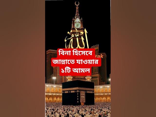 Video thumbnail for বিনা হিসেবে জান্নাতে যাওয়ার ১টি আমল#shorts #viral#sheikh_ahmadullah#islamicalortips