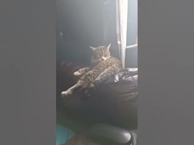 Video thumbnail for The dream team...chilling & relaxing