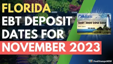 'Video thumbnail for Florida Food Stamp Deposit Dates for November 2023'