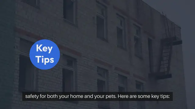Video thumbnail for Home Security for Pet Owners