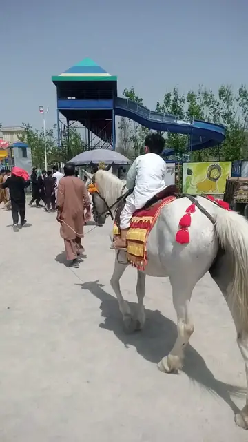 Video thumbnail for Horse riding prank