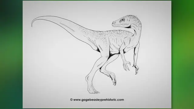 Video thumbnail for An Ultimate Guide to Eoraptor: The Dawn Plunderer