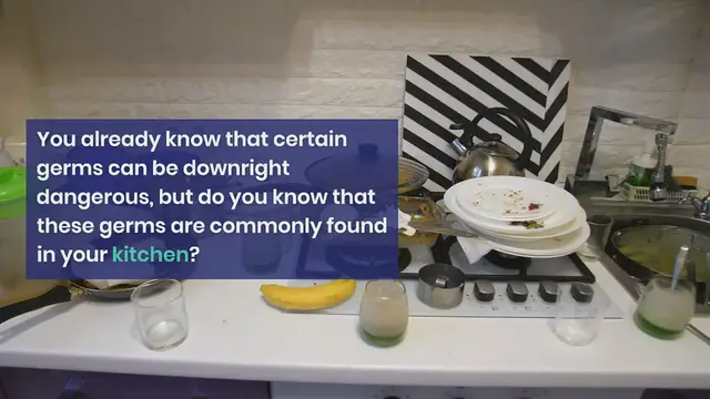 Video thumbnail for 7 Deadly Germs of Kitchen (Infographic)