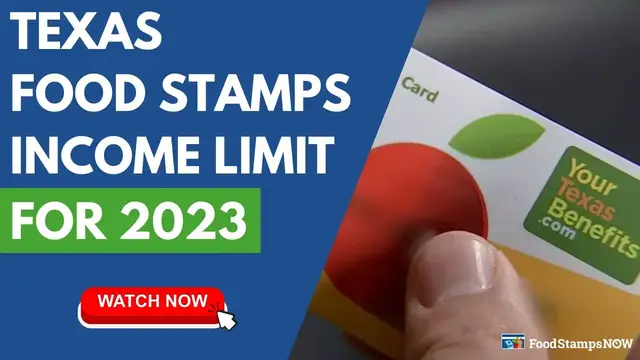 Video thumbnail for Texas Food Stamps Income Limit for 2023